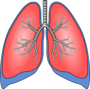 illustratie van roze longen