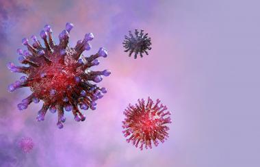 beeld van coronavirus